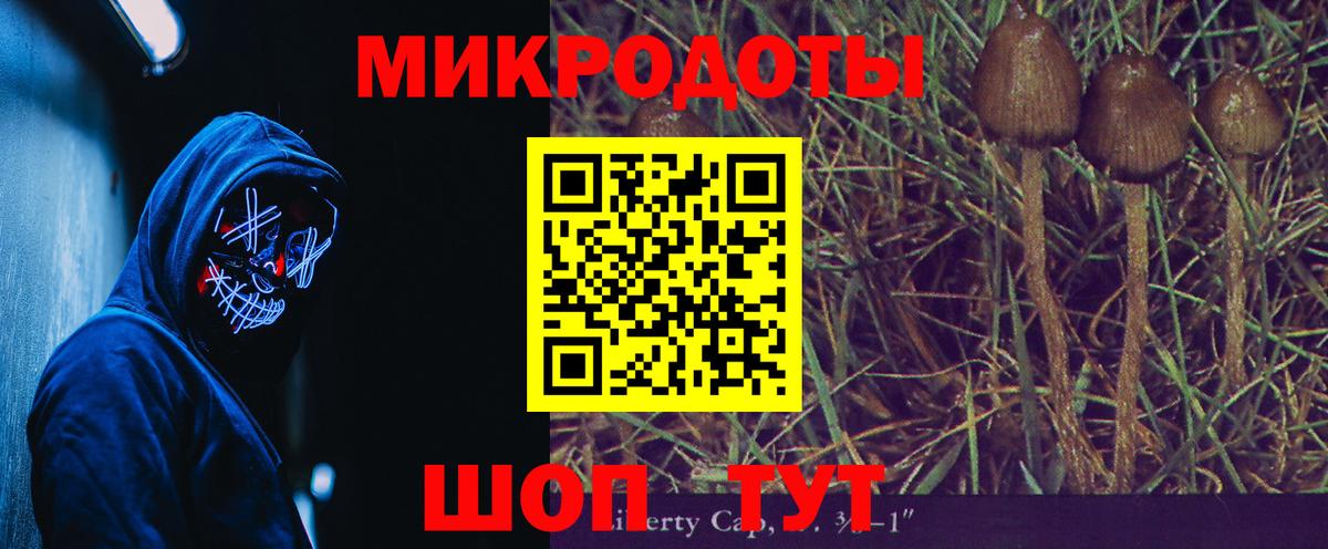 Черкесск  Псилоцибиновые грибы MAGIC MUSHROOMS  Псилоцибиновые грибы мицелий  Вход с VPN 
